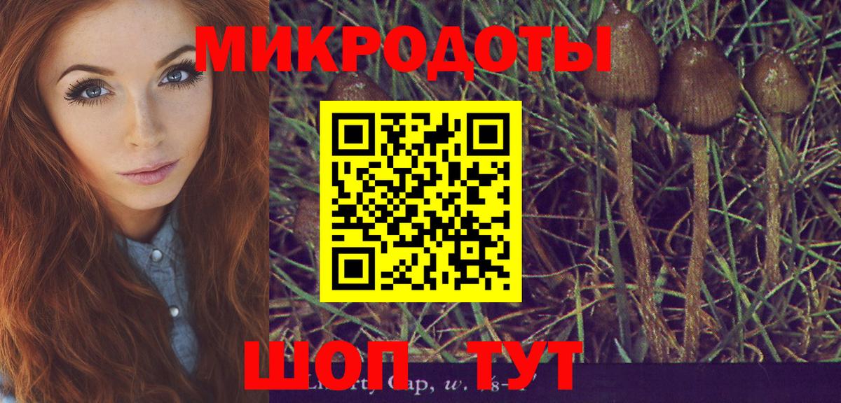 Галлюциногенные грибы Psilocybe Кизляр