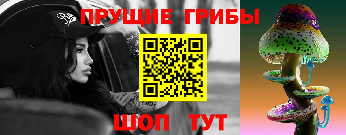 Галлюциногенные грибы Psilocybe  как найти наркотики  Кизляр  Вход с VPN 